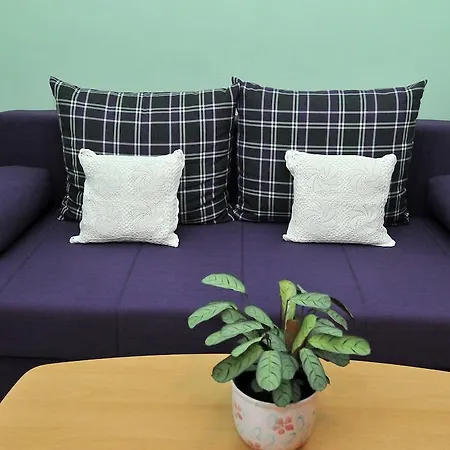 Bugenvila * Цавтат